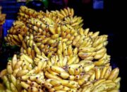 Arti Mimpi Buah Pisang Menurut Islam: Apa Tanda Baik di Balik Mimpi Ini?