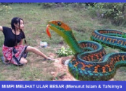 Arti Mimpi Dikejar Ular Besar Menurut Islam: Simbol Bahaya yang Mengancam?